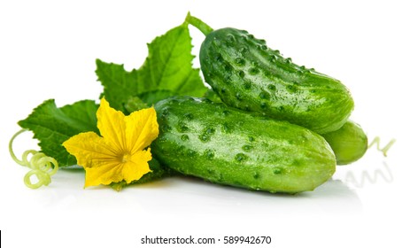 cucumber flower design