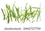 Fresh green cut wild grass isolated on white background and texture, top view	