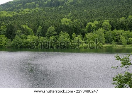 Similar – Stone jetty by the lake