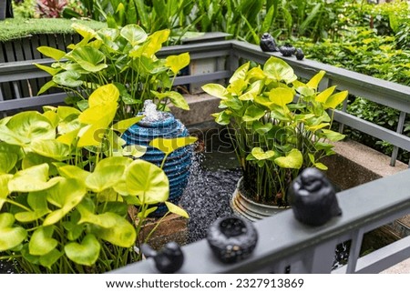 The fresh green garden with square pond and elliptical overflowing pot. Foreground and background are balcony railings with pottery arranged in blur for people who want gardening idea. Selective focus