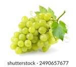 Fresh green grape cluster isolated on white background.