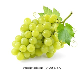 Fresh green grape cluster isolated on white background.