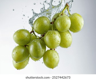 Fresh green grapes splash water white background  - Powered by Shutterstock