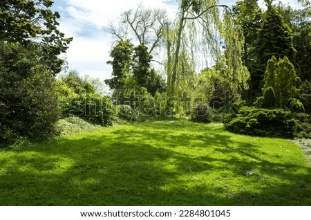Fresh green grass lawn with a variety of beautiful trees at the back in warm natural sunlight. Background texture of plants in a botanical garden on a sunny summer day. Copy space for text. 