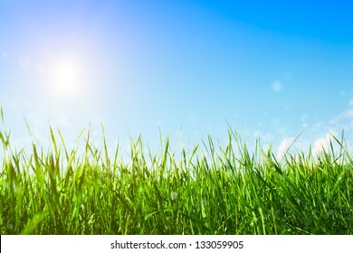 Fresh Green Grass On A Background Of The Sky And Sun