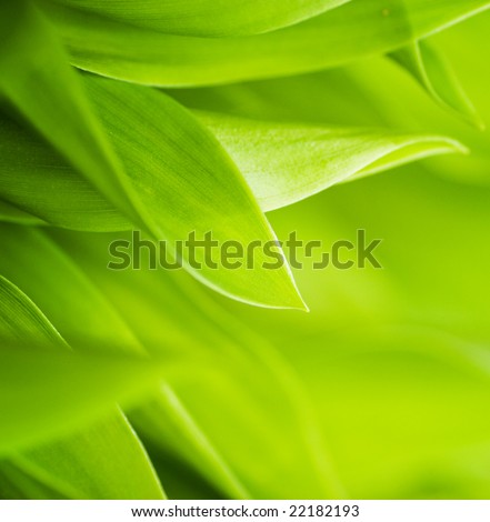 Similar – Image, Stock Photo Stems and leaves