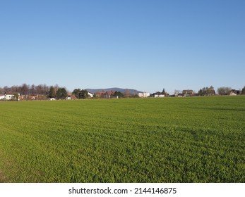 Frisch grünes Grasfeld aus dem Sportflugplatz in der europäischen Stadt Bielsko-Biala in Polen, klarer blauer Himmel im Jahr 2020 warm sonnigen Frühlingstag im April.
