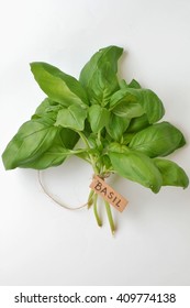 Fresh Green Herb Basil With Index Card On The White Background, Overhead Vertical View. Basil Leaves.