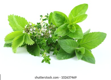 Fresh green herbs isolated over white - Shutterstock ID 102637469