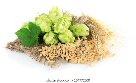 Fresh Green Hops And Barley, Isolated On White