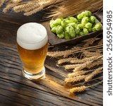 Fresh green hops flowers, ripe golden wheat ears and glass of beer with white beer foam on wooden table.