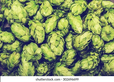 Fresh green hops on a wooden table. Blue toned - Shutterstock ID 302696699