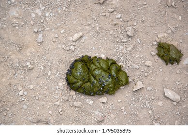 Horsecrap Images, Stock Photos & Vectors | Shutterstock