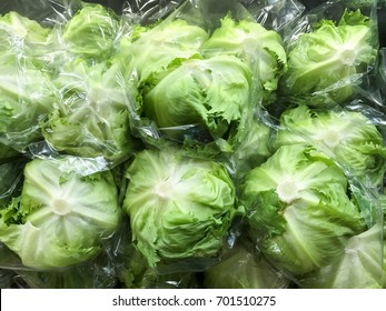 Download Fresh Green Iceberg Lettuce Packed Plastic Stock Photo Edit Now 701510275 PSD Mockup Templates