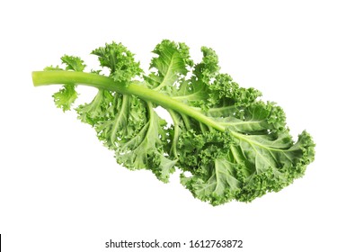 Fresh green kale leaf isolated on white