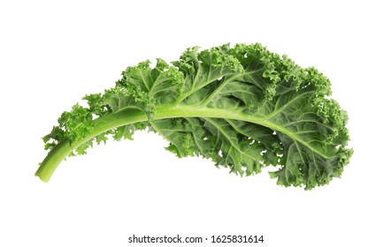 Fresh Green Kale Leaf Isolated On White