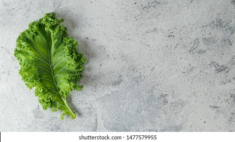 Fresh green kale leaf on gray cement background, copy space for text or design. Flat lay or top view. Healthy detox vegetables. Clean eating and dieting concept. Health kale benefits