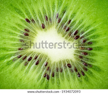 Fresh green kiwi macro shot. Fruits background