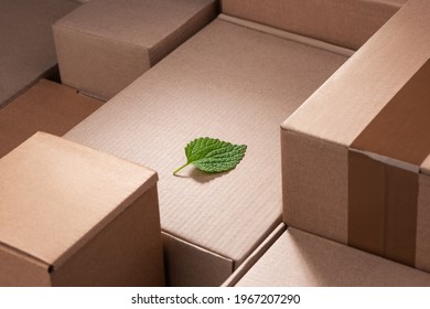 Fresh green leaf laying between cardboard boxes. Environmental costs of shipping deliveries. Concept of carbon neutral shipment.