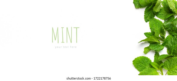 Fresh green leaves of mint, lemon balm, peppermint isolated on white background top view copy space. Mint leaf texture. Ecology natural layout. Mint leaves pattern spearmint herbs nature background