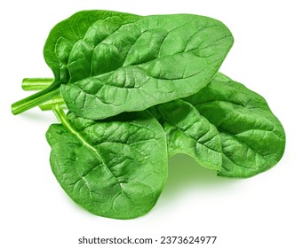 Fresh green leaves of Spinach leafy vegetable isolated on white background. Spinach Macro. Top view. Flat lay.
