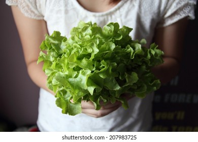 Fresh green lettuce in hands of a young women - Powered by Shutterstock