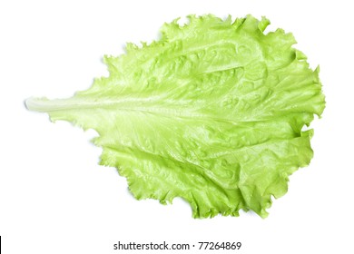 Fresh Green Lettuce Leaf Isolated On White