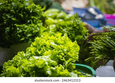 Fresh Green lettuce leaves kept in market for selling. This leafy vegetables have many health benefits. - Powered by Shutterstock