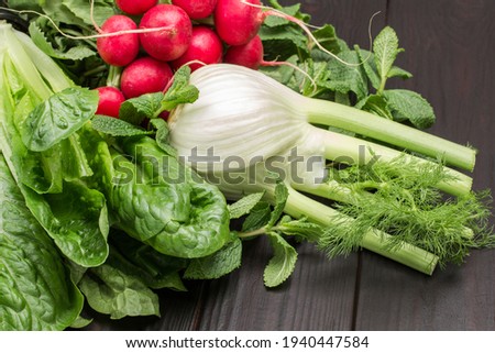Fresh green lettuce leaves romaine and fennel. Bunch of radishes. Close up. Wooden background.

