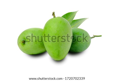 Fresh green mango fruit isolated on white background