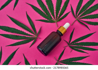 Fresh Green Marijuana Leaves And Bottle With Essential Cannabinoid Oil On Pink Background. Legalized Drug And Addiction. Herbal Medicine And Painkiller Therapy. Natural Homemade Organic Cannabis