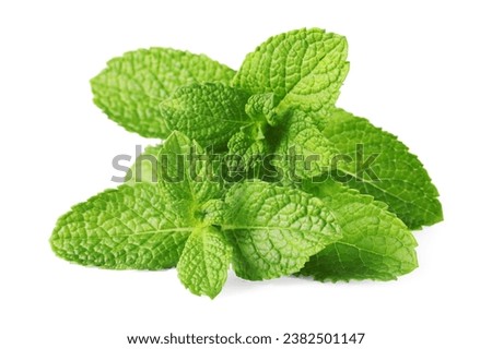 Fresh green mint leaves isolated on white