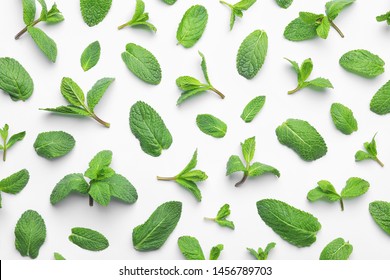 Fresh green mint leaves on white background, top view