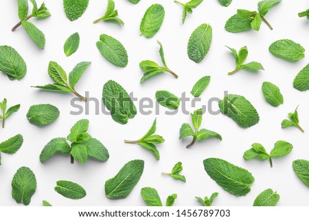 Fresh green mint leaves on white background, top view
