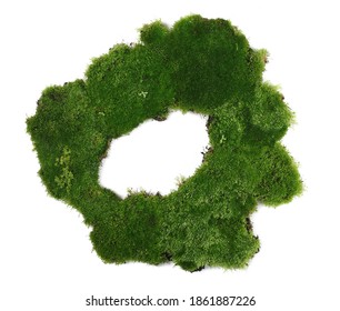 Moss Texture Top View High Res Stock Images Shutterstock