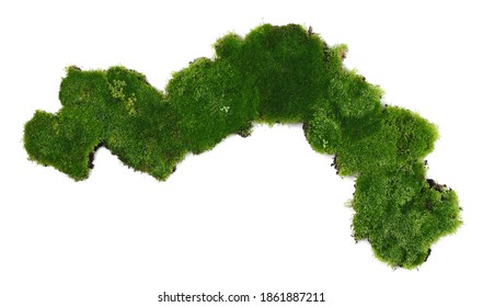 Moss Texture Top View High Res Stock Images Shutterstock