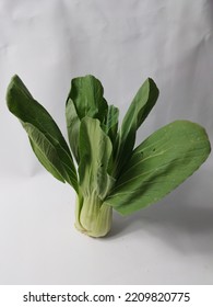 Fresh Green Mustard Greens (CaisimSawi Hijau) Are Isolated On White Background.