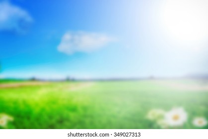 Fresh Green Nature Background. Blur Meadow Of Grass & Flowers Wallpaper.Horizontal Farm Field With Empty Space.