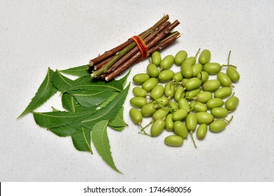 2,630 Neem fruits Images, Stock Photos & Vectors | Shutterstock