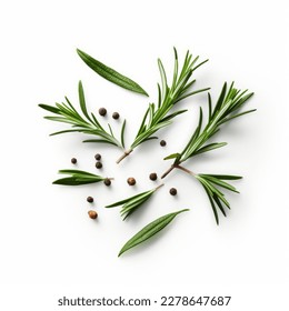 Fresh green organic rosemary leaves and peper isolated on white background. Transparent background and natural transparent shadow - Ingredient, spice for cooking. collection for design