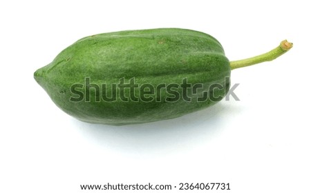Fresh green raw vegetablesunripe green papaya, papaya with slice and half isolated on white backdrop.Vegan healthy food.
vegetable for healthy nutrition