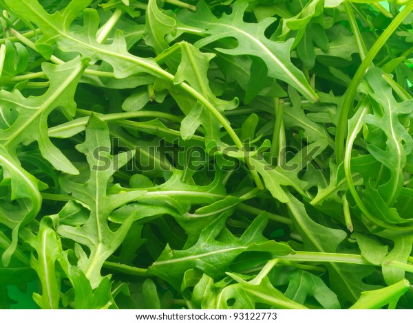 Fresh green rocket\
salad