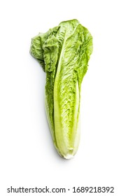 lettuce romaine