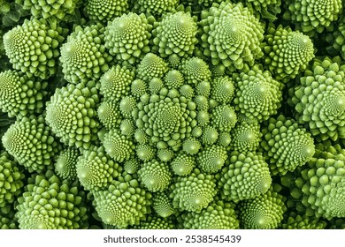 A Fresh Green Romanesco Broccoli - Powered by Shutterstock