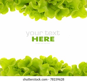 Fresh Green Salad frame