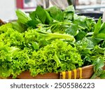 Fresh green salad mix in a traditional bamboo basket. Lettuce, basil, and other leafy greens ready for your meal.