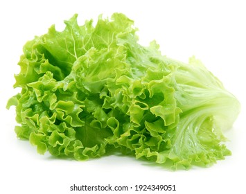 Fresh green salad on white background - Powered by Shutterstock