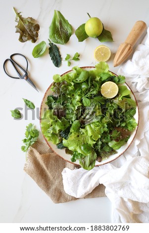 Fresh green salad in a plate made of green leaves mix.  Variety  of healthy fresh harvested eatable greens.  Raw food , organic, detox diet concept.  White background, copy space, top view flat lay