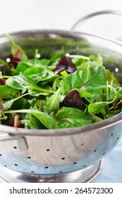 Fresh Green Salad With Spinach, Arugula, Romaine And Lettuce On A Rustic White Background, Selective Focus