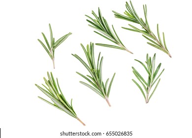 Fresh green sprig of rosemary isolated on a white background
